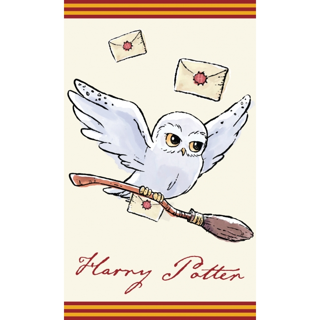 HARRY POTTER handduk 30 x 50 cm